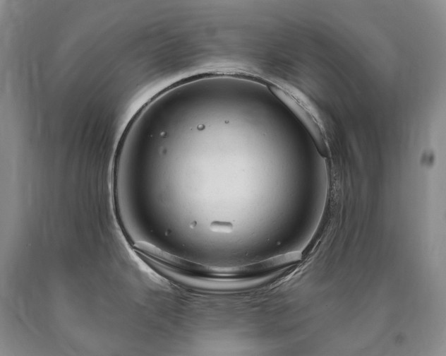 X0000090891343200707271324