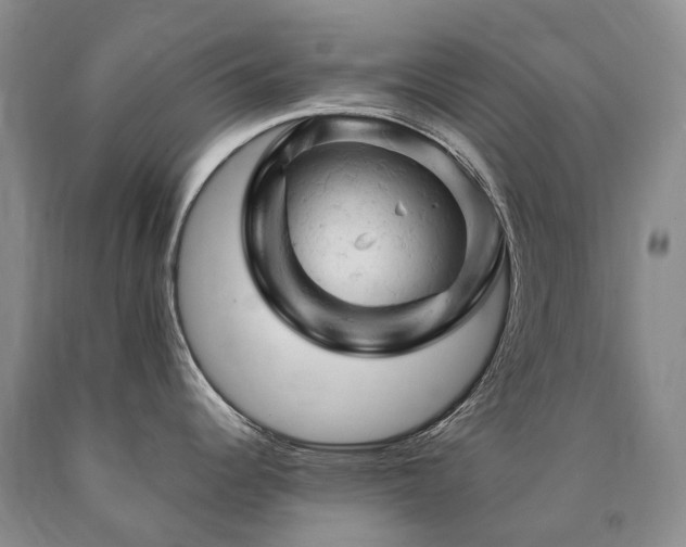 X0000090891344200707271324