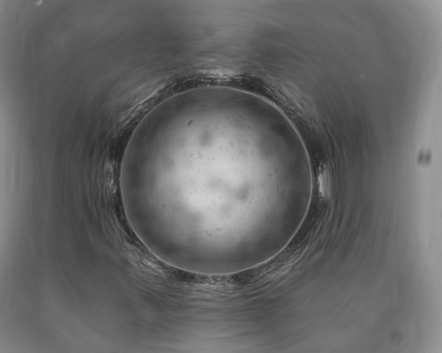 X0000090891347200707271323