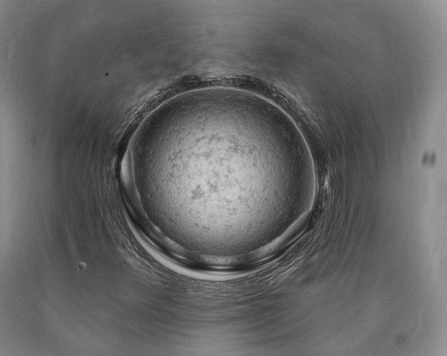 X0000090891348200707271323