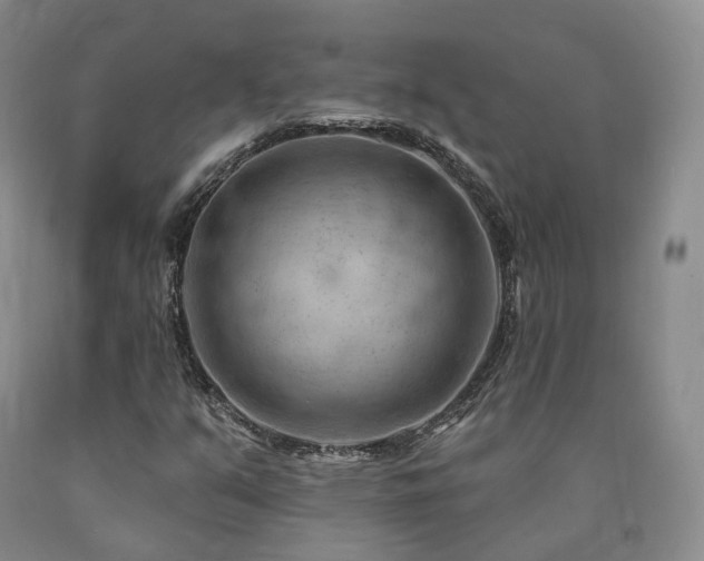 X0000090891351200707271323