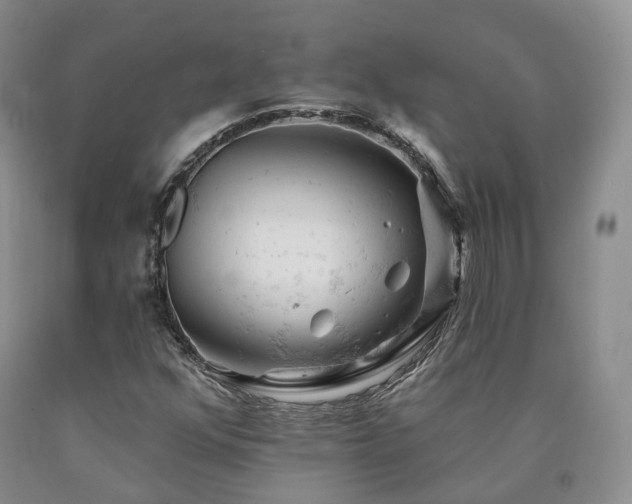 X0000090891352200707271323