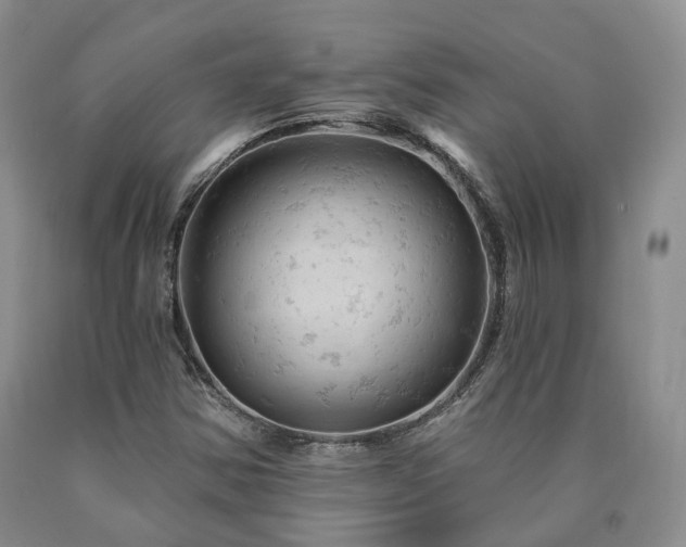 X0000090891354200707271323