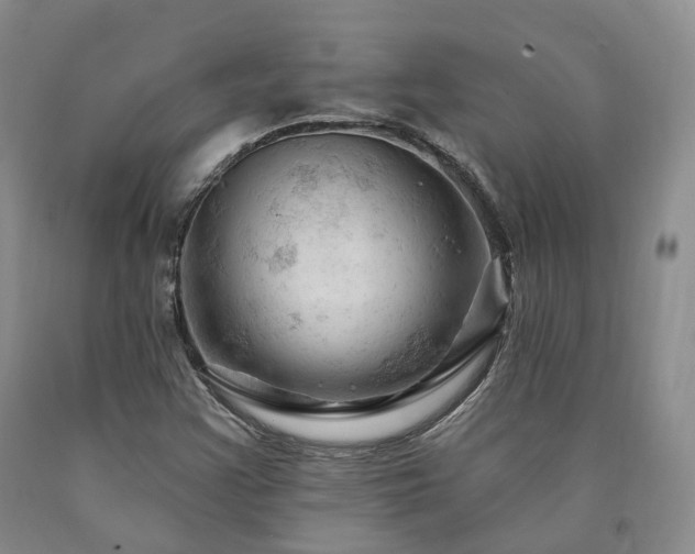 X0000090891355200707271323