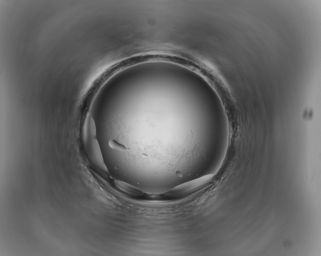 X0000090891360200707271323