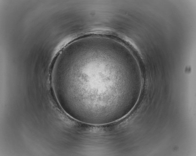 X0000090891362200707271323