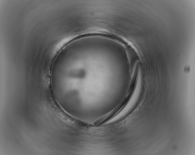 X0000090891363200707271323