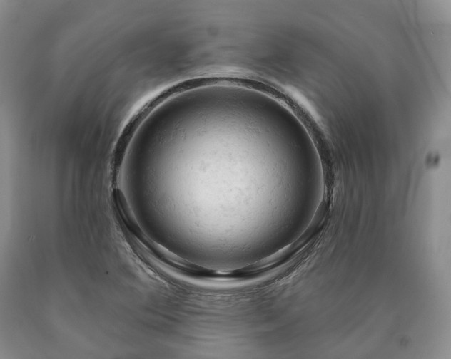 X0000090891364200707271323