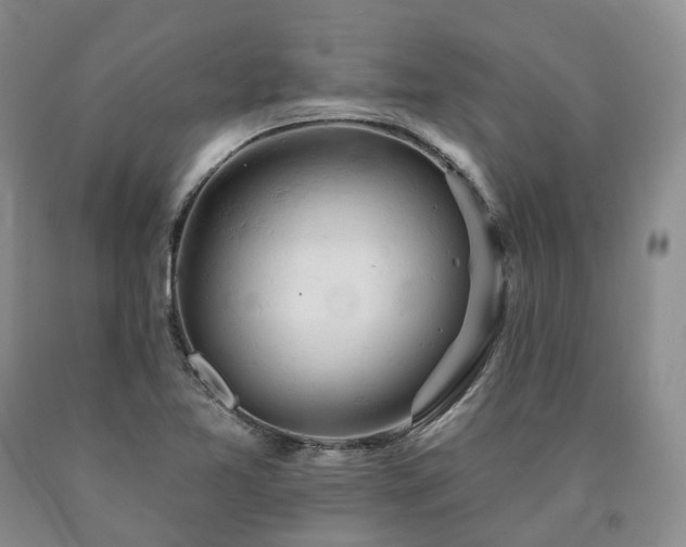 X0000090891365200707271323