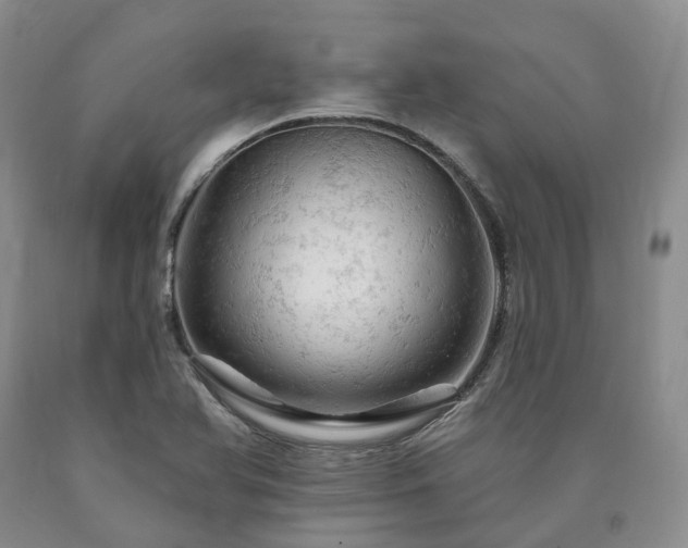 X0000090891366200707271323