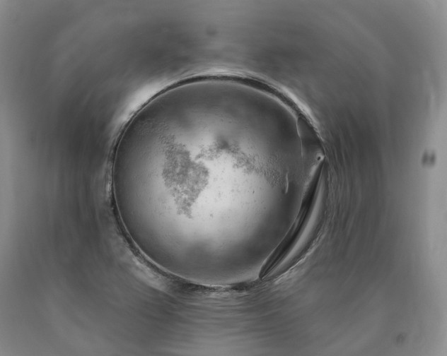 X0000090891367200707271323