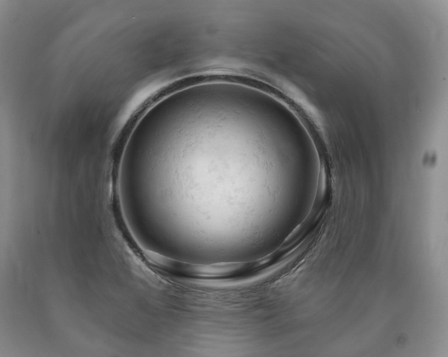 X0000090891368200707271323