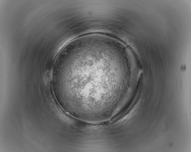 X0000090891369200707271323