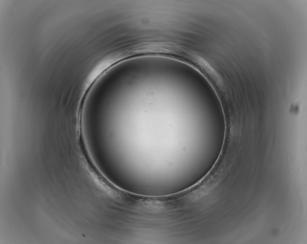 X0000090891370200707271323