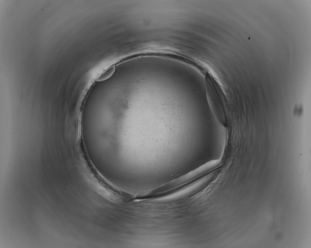 X0000090891371200707271323