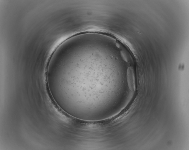 X0000090891375200707271323