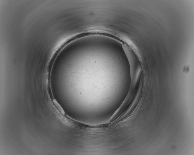 X0000090891376200707271323