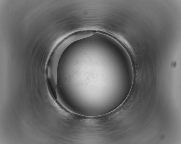 X0000090891380200707271323