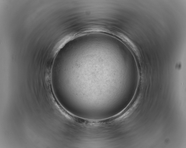 X0000090891385200707271323