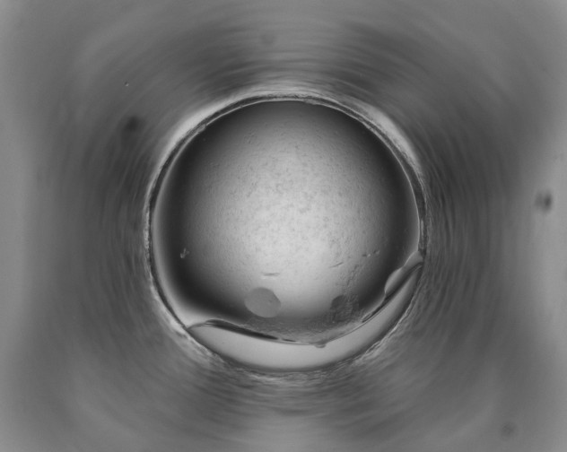 X0000090891388200707271323