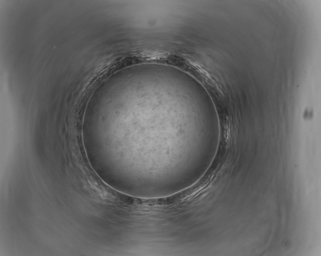 X0000090891393200707271322