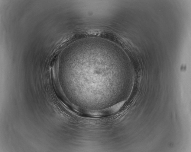 X0000090891394200707271322