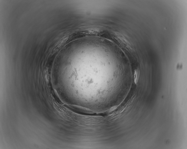 X0000090891395200707271322