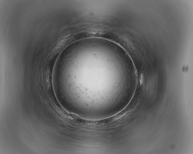 X0000090891396200707271322