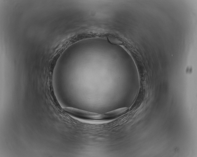 X0000090891397200707271322