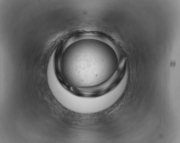 X0000090891398200707271322