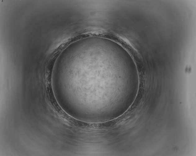 X0000090891399200707271322