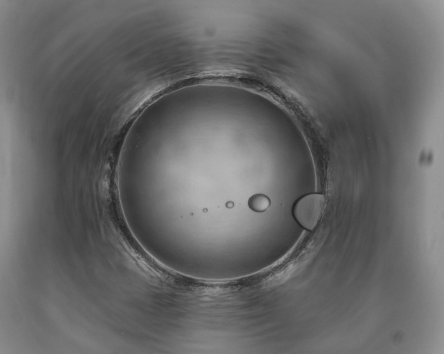 X0000090891401200707271322