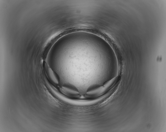 X0000090891402200707271322