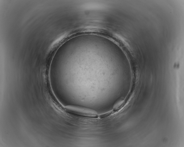 X0000090891403200707271322