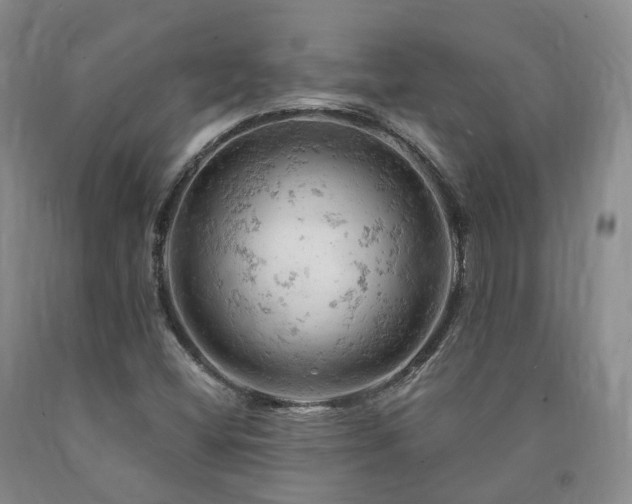 X0000090891404200707271322