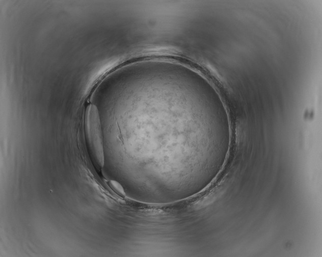 X0000090891405200707271322