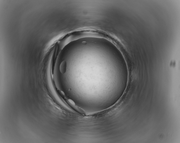 X0000090891406200707271322