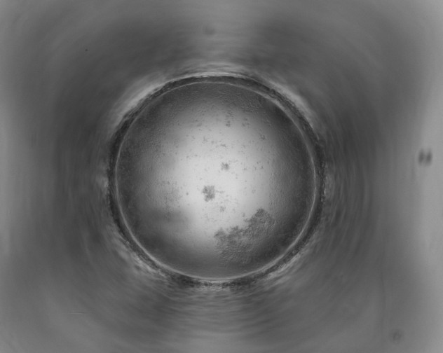 X0000090891407200707271322