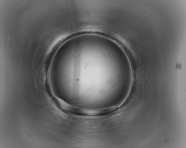 X0000090891408200707271322