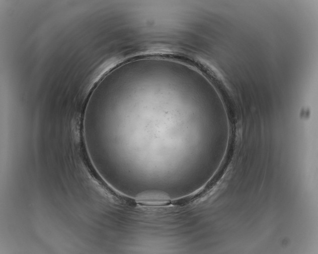 X0000090891409200707271322