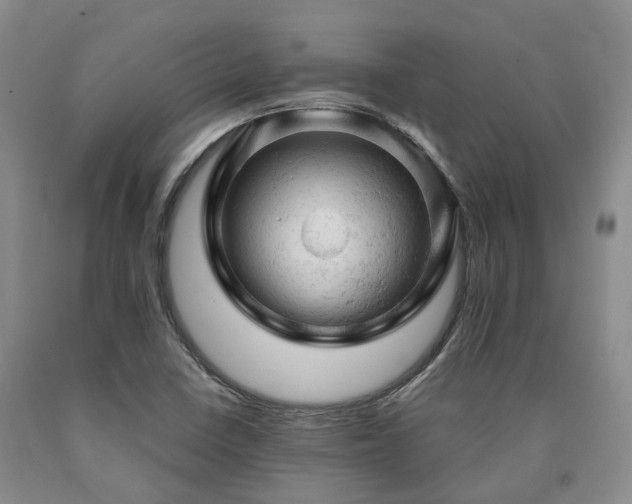 X0000090891410200707271322