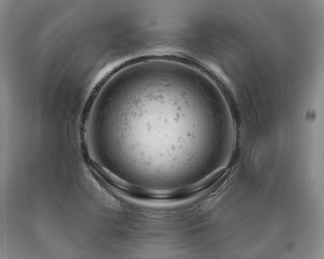 X0000090891412200707271322
