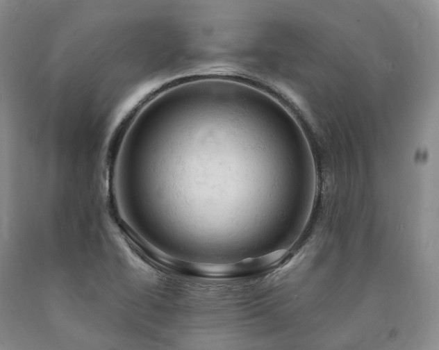 X0000090891414200707271323