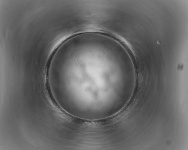 X0000090891415200707271323
