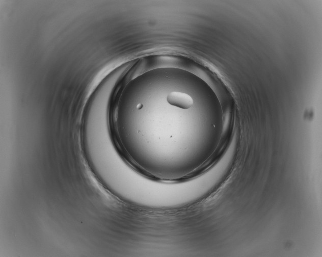 X0000090891418200707271323