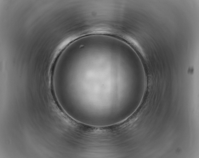 X0000090891419200707271323