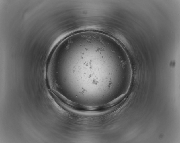 X0000090891420200707271323