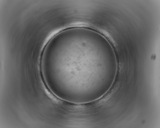 X0000090891421200707271323