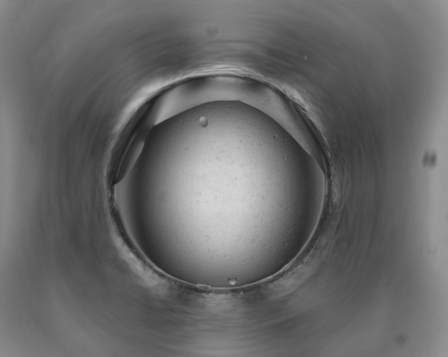 X0000090891422200707271323