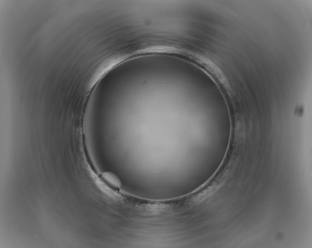 X0000090891425200707271323